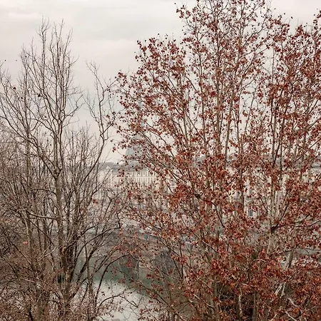 Panoramic Overlooking The Po River * Turin