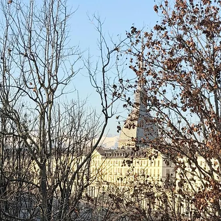 Daire Panoramic Overlooking The Po River Torino