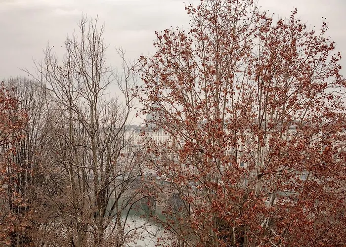 Panoramic Overlooking The Po River * 都灵